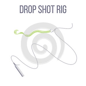 Drop shot rig with stick sinker and soft plastic lure worm bait setup. photo