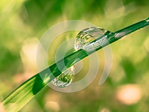 A drop of water on the blade of grass