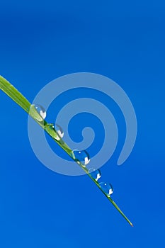 Drop of water and blue background