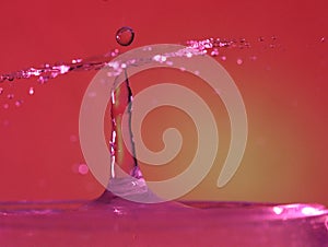 Drop of water colliding when it bounces and forming a palm tree photo
