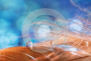 A drop of water dew on a fluffy feather close-up on blue blurred background. Abstract romantic magical artistic image for the