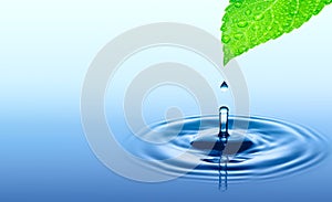 Drop of water falling from green fresh leaf