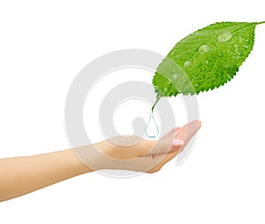 Drop of water falling on hand