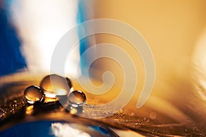 A drop of water on a golden feather with a blue background. A feather with a drop of water. Selective focus.