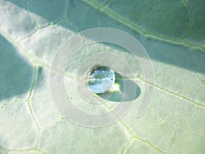 A drop of water on a sheet