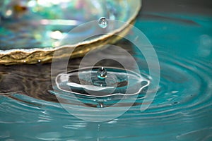 Drop of water splash in paua colorful shell
