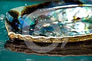 Drop of water splash in paua colorful shell