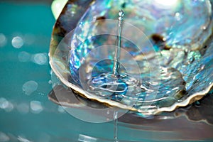 Drop of water splash in paua colorful shell