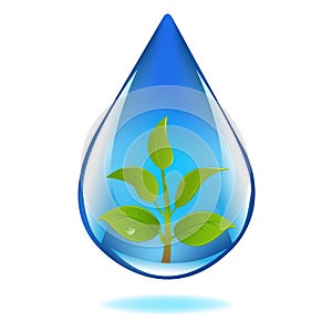 Drop Of Water With Sprout. Vector