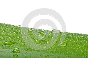 Droplet