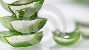 Droplet on slices leaf of Aloe Vera on white background close up.