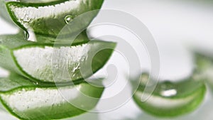 Droplet on slices leaf of Aloe Vera on white close up.