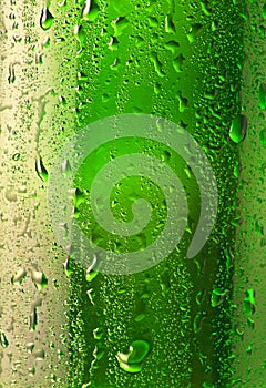 Droplets on the bottle of beer