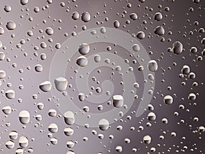 Droplets of water on a warm grey background