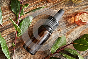 A dropper bottle of aromatherapy essential oil with fresh bay leaves, top view