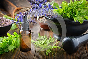 Dropper bottle of essential oil or infusion, mortar of bilberry twigs and healthy bugleherb flowers, fern leaves.