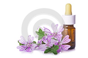 Dropper bottle with mallow malva extract photo