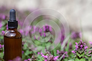 Dropper bottle of thyme essential oil on the background of flowers