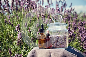 Dropper bottles of lavender essential oil and glass jar of dry lavender flowers for making herbal tea.