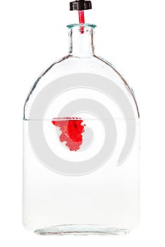 Dropper drips red ink in water in glass flask