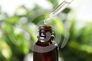 Dropper with essential oil over bottle against blurred background