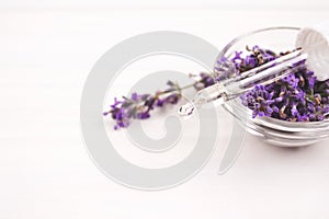 Dropper with lavender essential oil and lavender flowers around it on white background with copyspace. Aromatherapy or home spa
