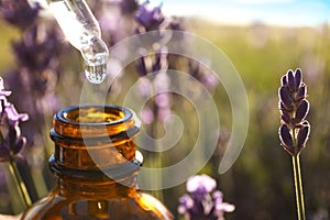 Dropper with lavender essential oil over bottle in field, closeup