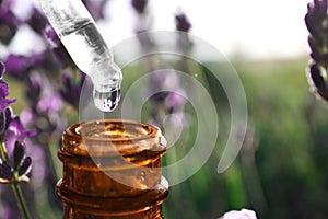 Dropper with lavender essential oil over bottle in field. Space for text