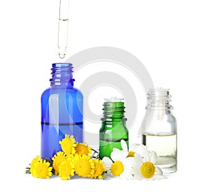 Dropping herbal essential oil into bottle and flowers isolated on