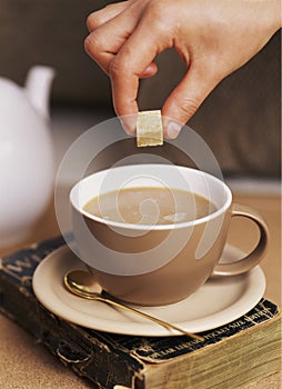 Dropping Sugar Cube in Hot Tea photo