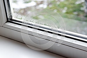 Drops of condensate and black mold on a white plastic window.