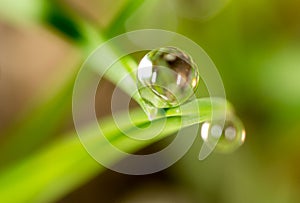 Drops of dew on the green grass. macro