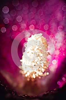 Drops of dew water on a flower petal