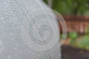 Drops on the greenhouse. Polycarbonate close-up. Drops close up. Background. Water. Evaporation in the greenhouse. Agriculture