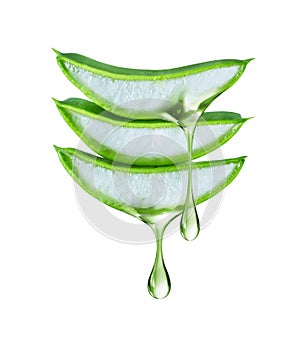 Drops of juice leaking from a sliced Aloe Vera leaf close up isolated on a white background
