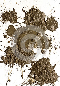 Drops of mud sprayed