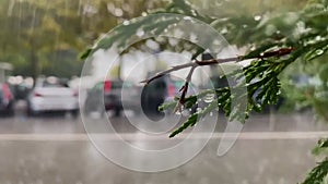 The drops of rain on the glass. In the background blurred cars. Trees move with the wind. The view through the window