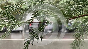 The drops of rain on the glass. In the background blurred cars. Trees move with the wind. The view through the window