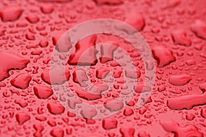 Drops of Rain or Water Drop on the Hood of the Car. Rain Drops o