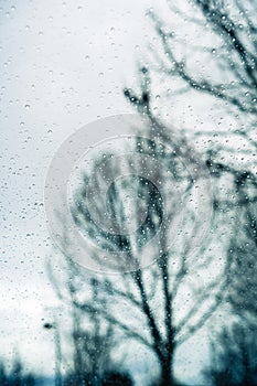 Drops of rain on the window