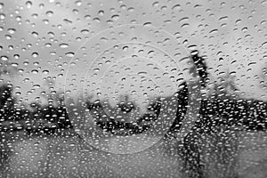 Drops of rain on the window; blurred trees in the background; shallow depth of field; black and white