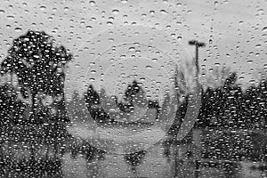 Drops of rain on the window; blurred trees in the background; shallow depth of field; black and white