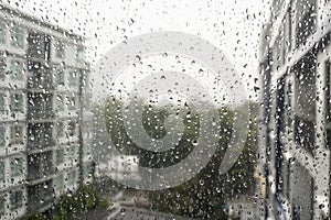 Drops of rain on a window pane.