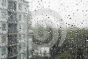 Drops of rain on a window pane.