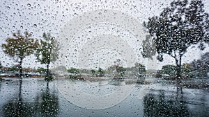 Drops of rain on the windshield; trees reflected in the wet pavement;