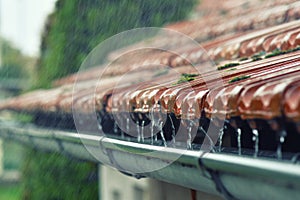 Drops of water flow into the eaves