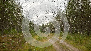 Drops of water on the glass surface. View from the cab of the car during the rain. Forest Road. Beautiful abstract