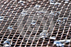 Drops of water on metallic net