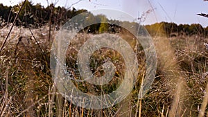 Drops of water sitting on a spider\'s web like crystals