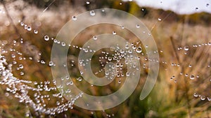 Drops of water sitting on a spider\'s web like crystals